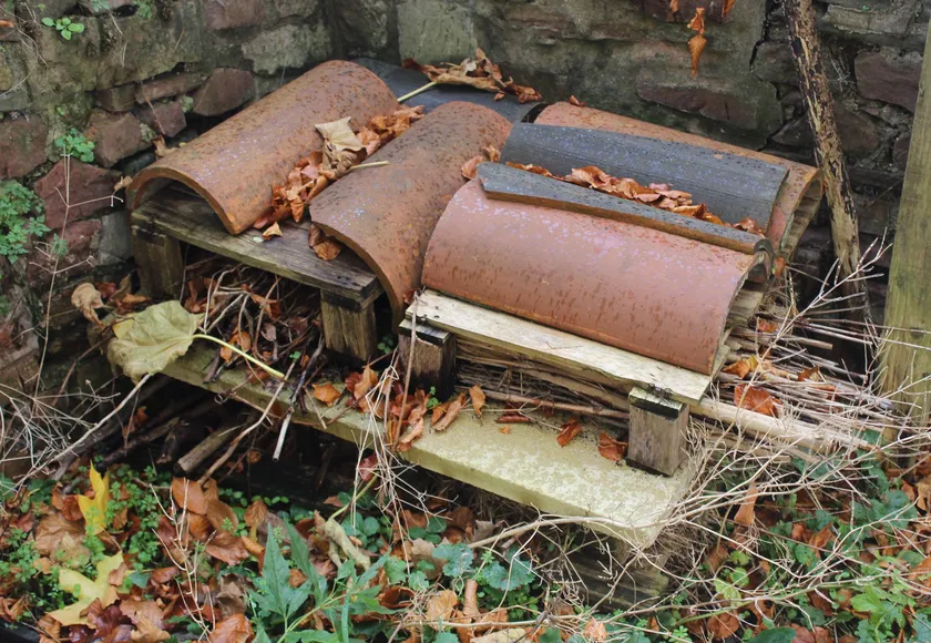 A homemade wooden hedgehog shelter covered with curved roof tiles and surrounded by leaves