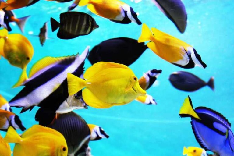 How to calculate optimal stocking level?